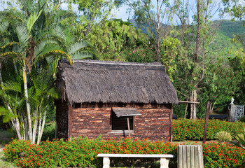 Ancient wooden hut in park - so lived on Mauritius earlier..