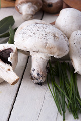 Still life of mushrooms and raw mushrooms