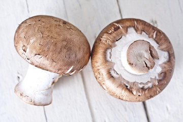 Still life of mushrooms and raw mushrooms