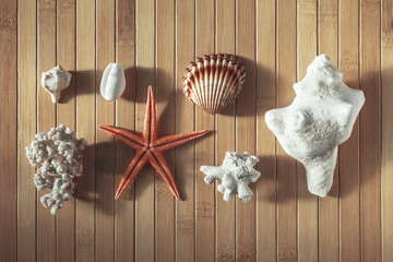 Sea objects on wood background.