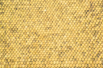 the Golden Roof, a landmark in Innsbruck, Austria