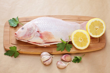 red tilapia