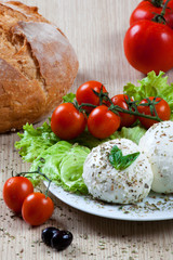 Mozzarella, vegetables and tomatoes