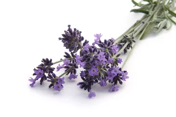 Zelfklevend Fotobehang Lavendel lavendel