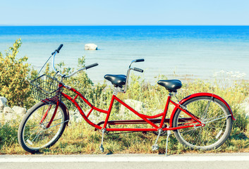 Naklejka premium Red Tandem