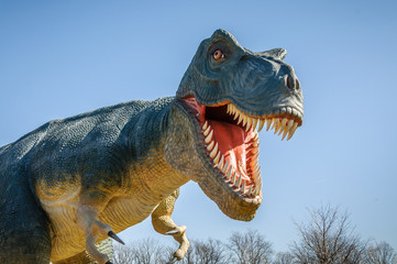 Fototapeta premium Agresywny T-Rex