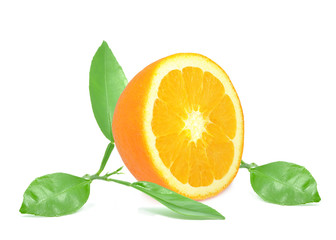 orange fruit