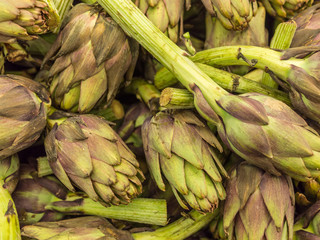 Carciofi (Cynara cardunculus)