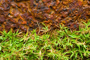 Brown Stone and green grass
