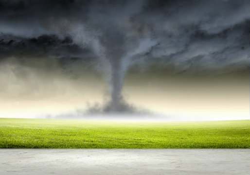 Tornado in meadow