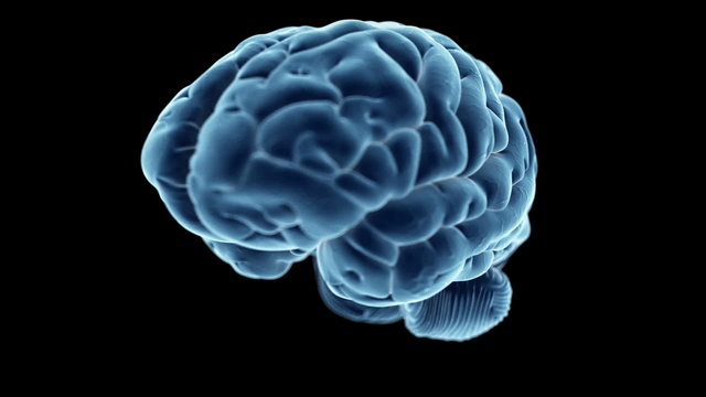 Medical animation of a human brain
