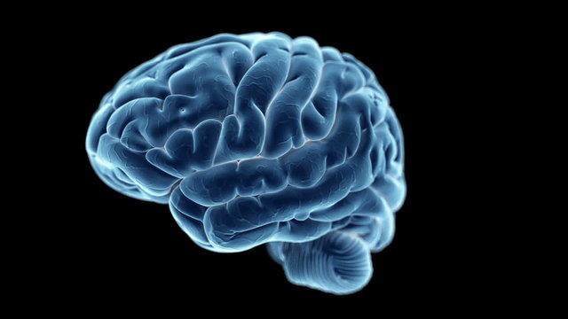 Medical animation of a human brain