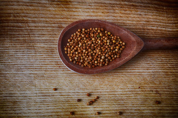 coriander seeds
