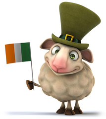 Irish sheep