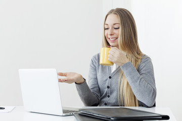 Business woman sitting at a desk office computer