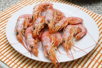 seafood isolated