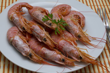 seafood isolated