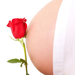 Adorable pregnant belly and flower red rose.