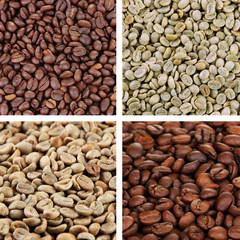 Coffee beans collage
