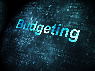 Business concept: Budgeting on digital background