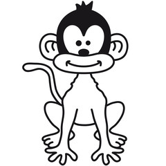 Cute Monkey