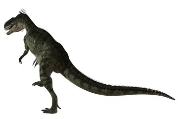 Monolophosaurus - dinosaur