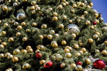 Рождественская елка © alexstepanov