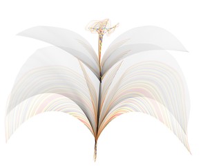 Fiore astratto