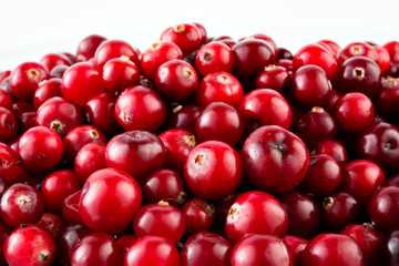 Red ripe cranberries