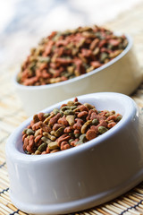 Dogs food