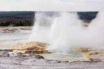 Obraz premium Clepsydra Geyser at the Fountain Pot area of Yellowstone Nationa