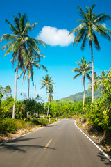 Nice asphalt road with palm trees