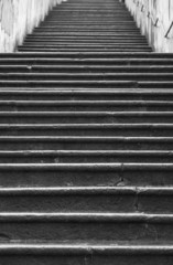 ladders where is never seen the arrival