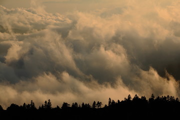 志賀高原・横手山のぞきの雲海