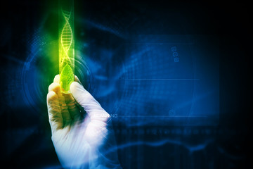 DNA molecule