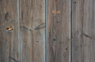 Naklejka premium Wood texture surface