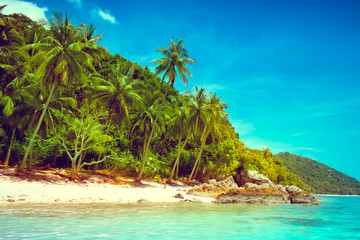 landscape of tropical island