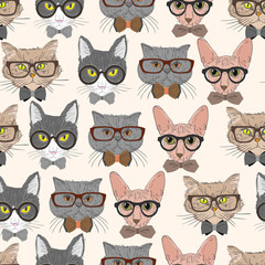 Fototapeta premium Seamless hipster cats pattern background