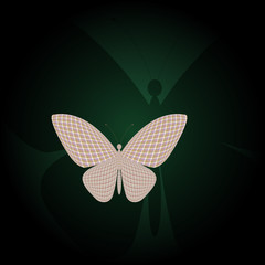 butterfly and its reflection