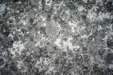 Rock with moss