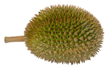 Durian, the king of fruits South East Asia on background.