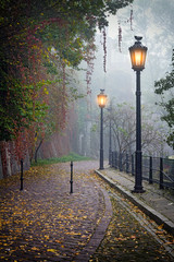Fototapety  Tajemnicza alejka w mglistej jesieni z zapalonymi lampami