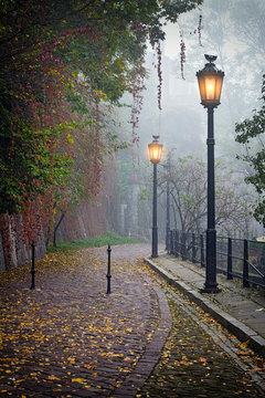 Fototapeta Tajemnicza uliczka w mglistej jesieni z zapalonymi lampami