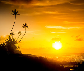 beautiful  sunset