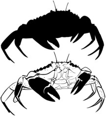 crab