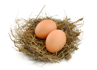 Egg in a Nest