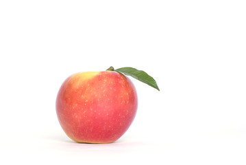 Apfel / Apple