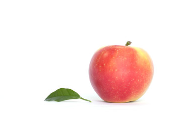Apfel / Apple