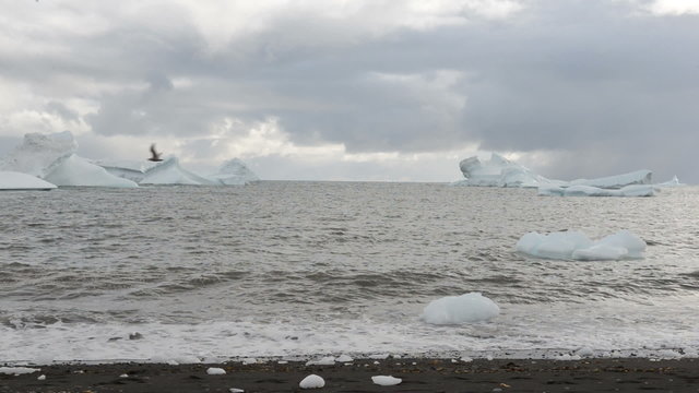 Icebergs and shore along Disko Island in Greenland