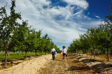 Farmers walking through orchard